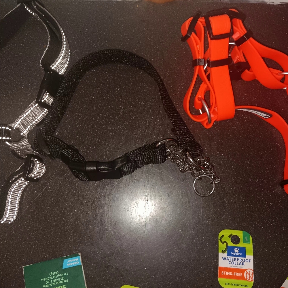 Harnesses - Picture 9 of 16